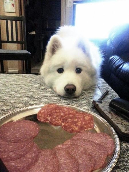 Прикольные картинки (80 фото)