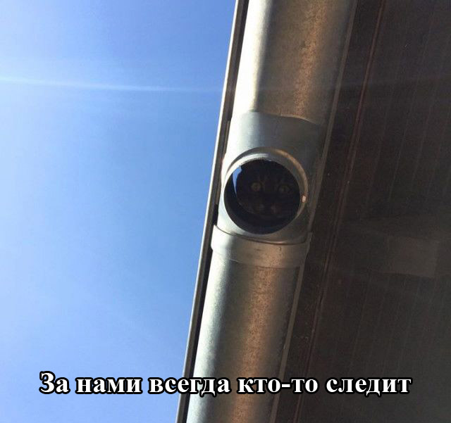 Порция картинок