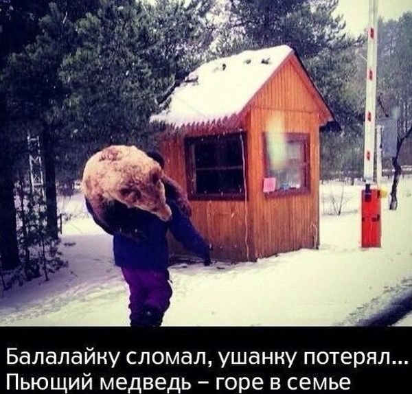 Порция картинок