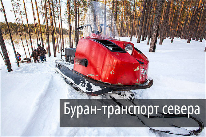 Буран – трудяга русского Севера Буран – трудяга русского Севера