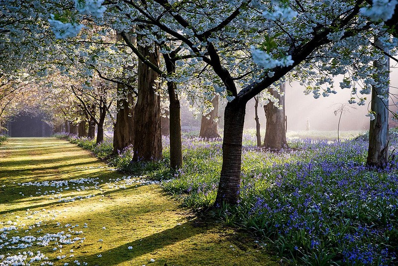 Восхитительный сад Maple Glen в Новой Зеландии Восхитительный сад Maple Glen в Новой Зеландии