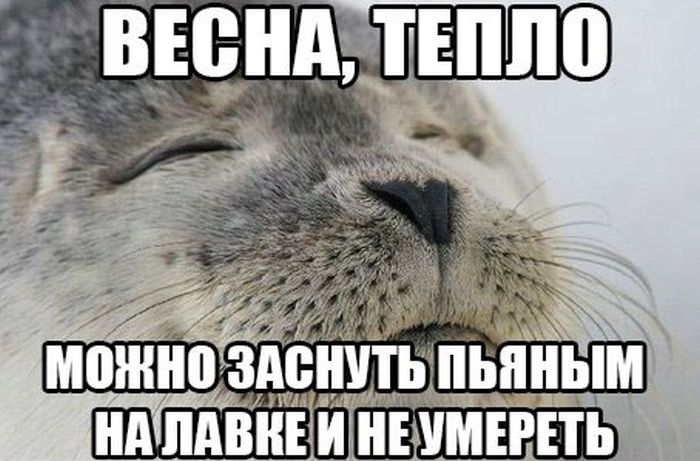 Порция картинок