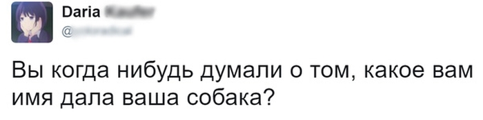 Юмор соцсетей