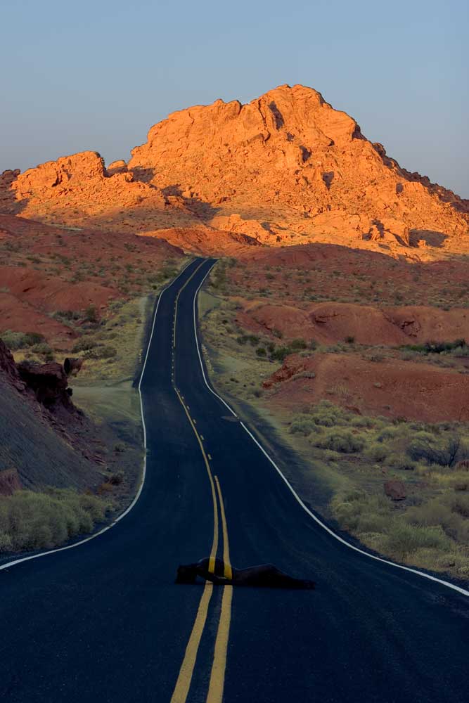 Шерше ля фам на фото Шерше ля фам на фото