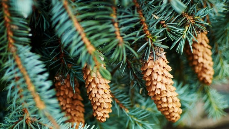 15 фактов, которые буквально перевернут ваш мир 15 фактов, которые буквально перевернут ваш мир