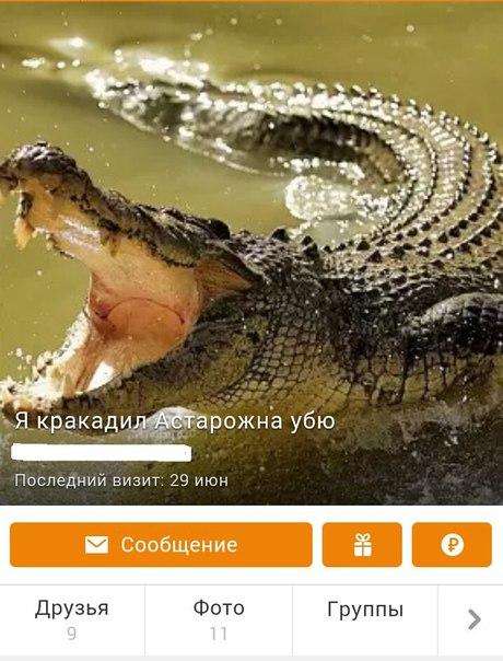 Будничная дичь из одноклассников