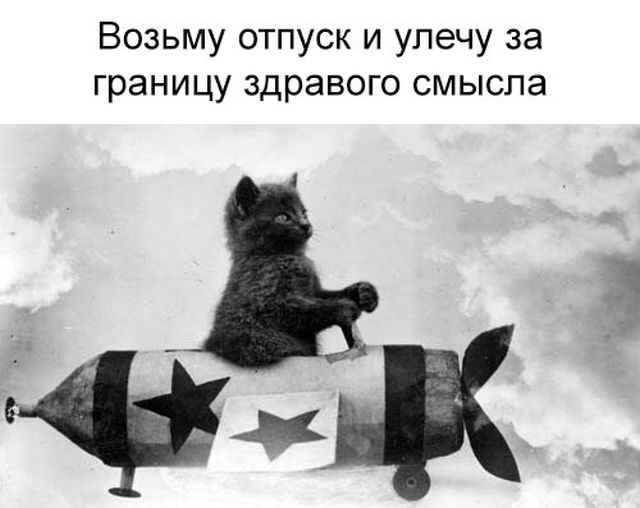 Прикольные картинки