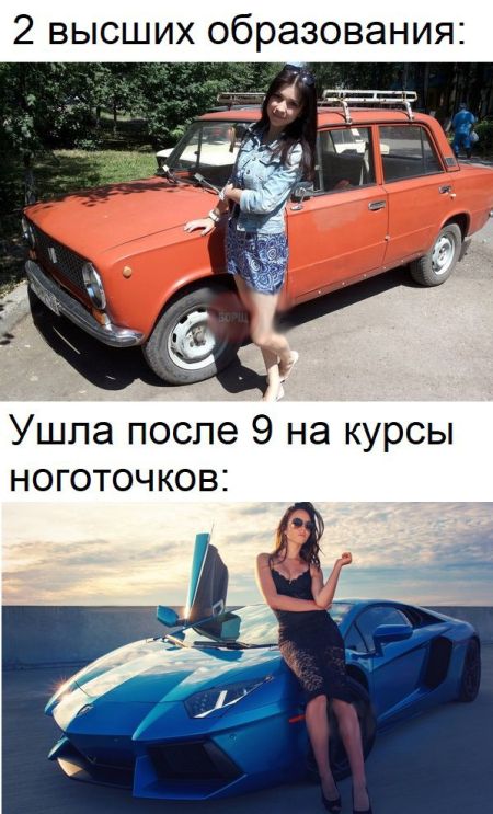 Прикольные картинки