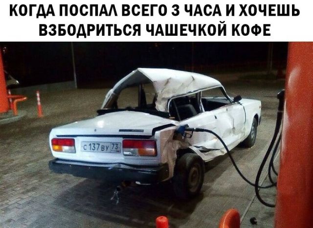 Прикольные картинки