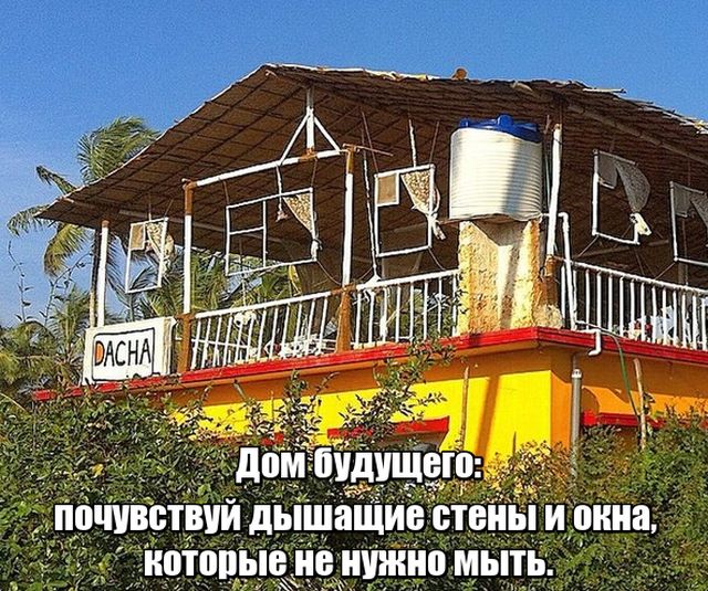 Прикольные картинки