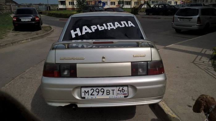 Прикольные картинки