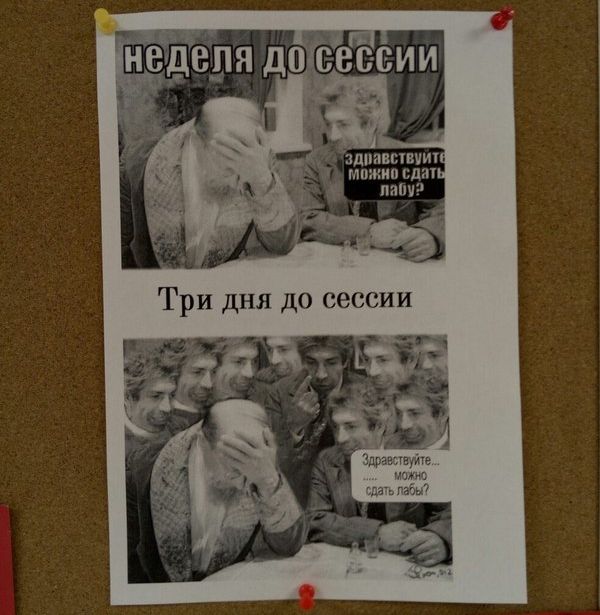 Прикольные картинки