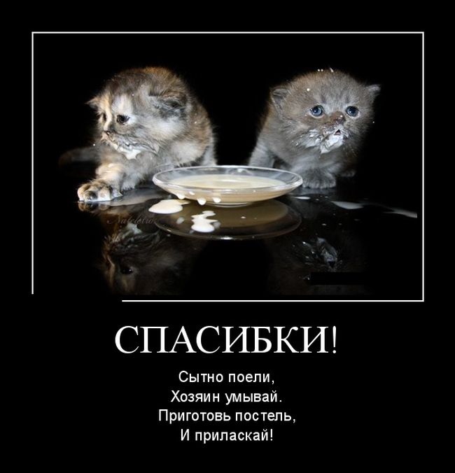 Демотиваторы