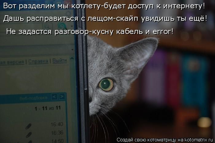 Лучшие котоматрицы недели