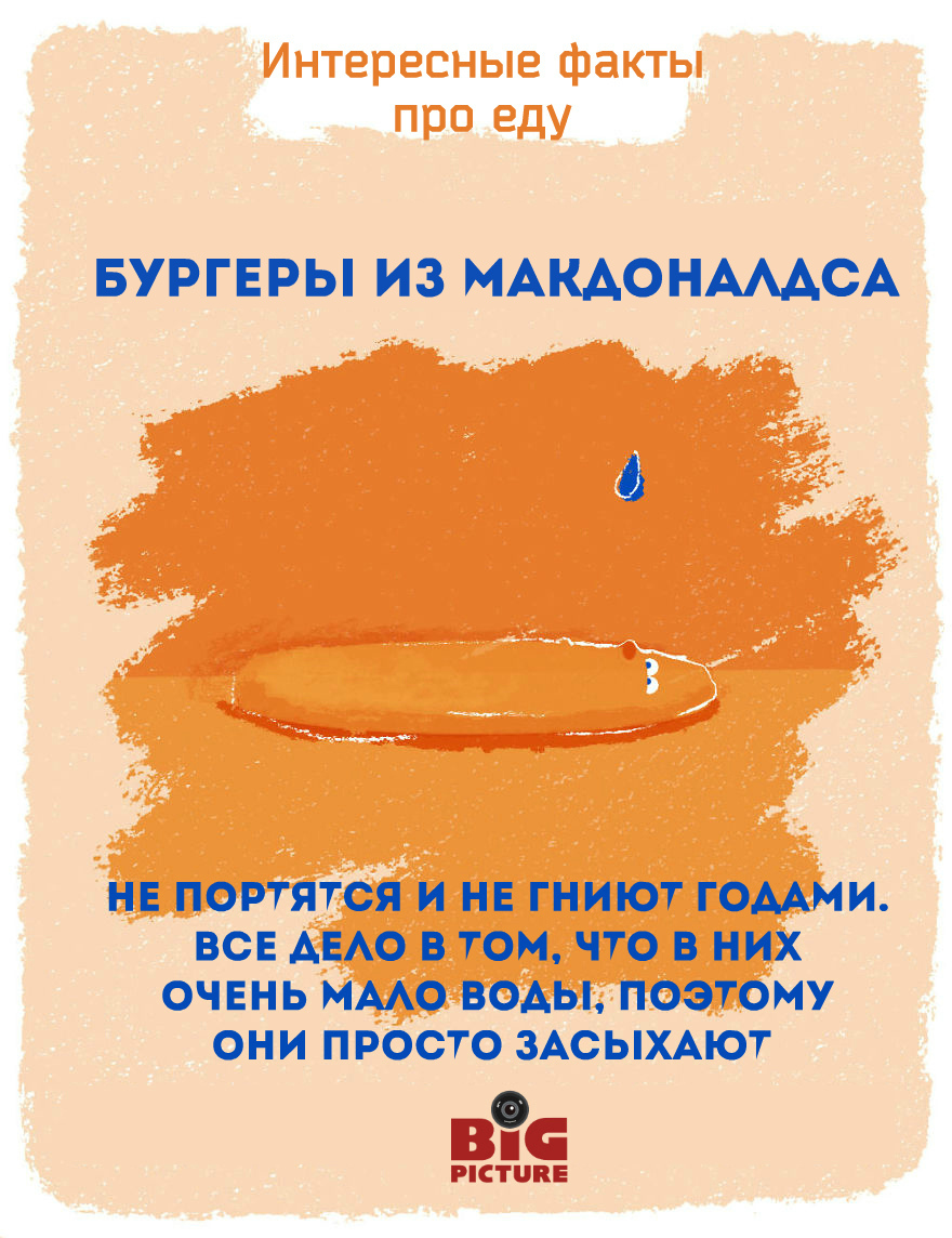 Необычные факты про еду Необычные факты про еду