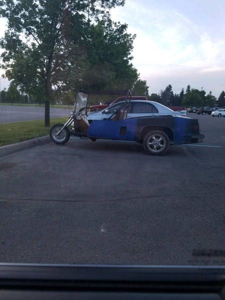 Прикольные картинки