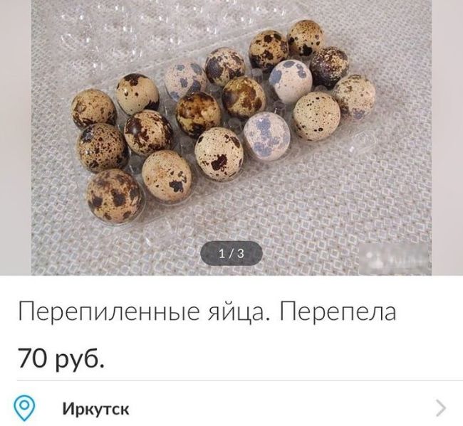 Ошибки, на которые нельзя не обратить внимания