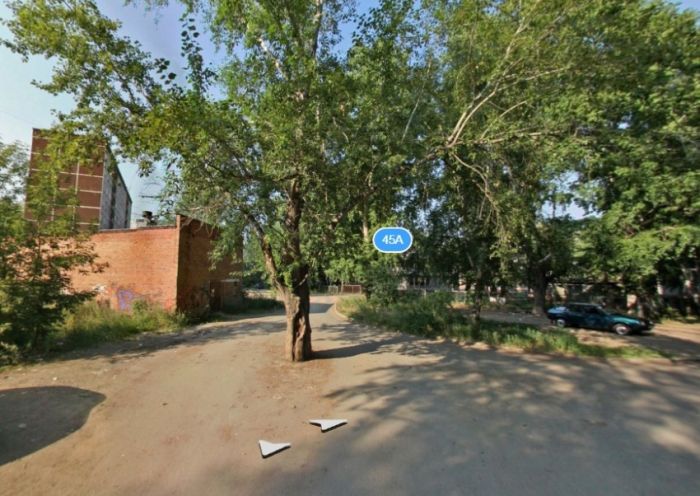 В Екатеринбурге старый пень посреди дороги закатали в асфальт В Екатеринбурге старый пень посреди дороги закатали в асфальт