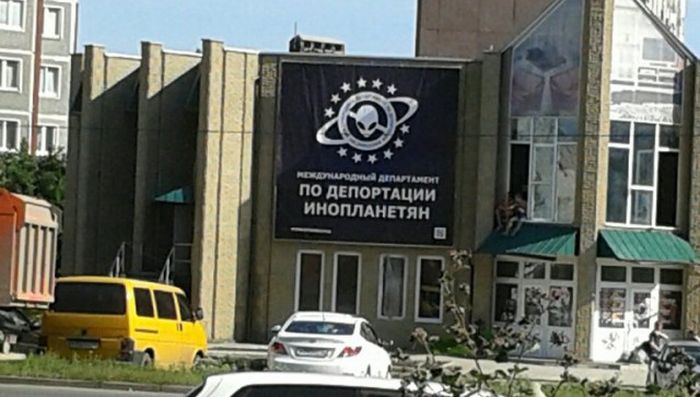 Порция картинок