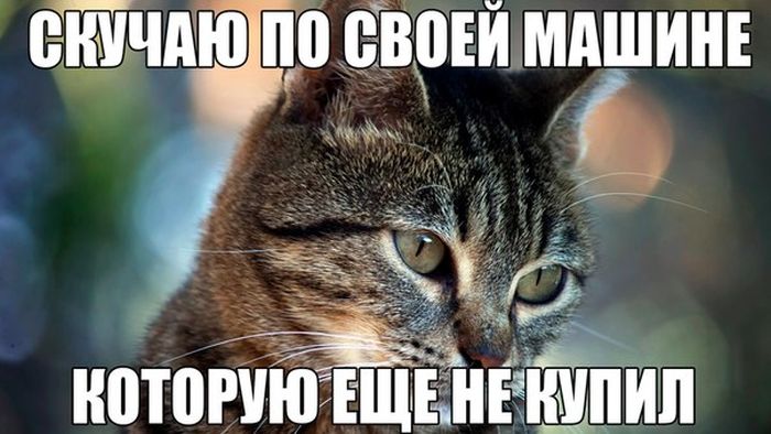 Порция картинок
