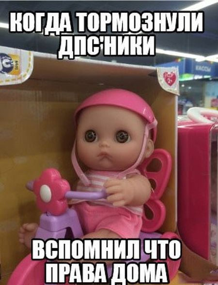 Порция картинок
