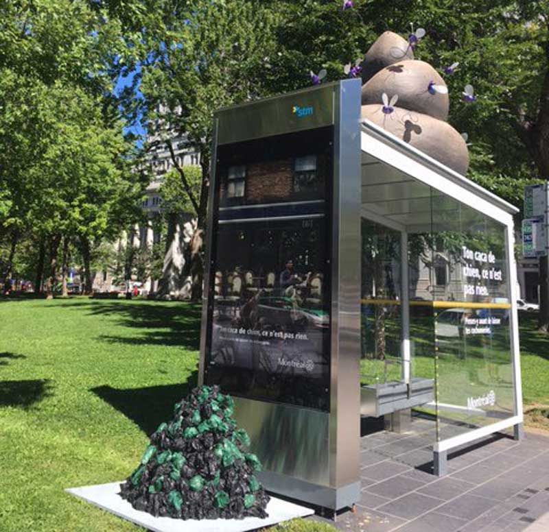 Огромная куча дерьма на крыше автобусной остановки
