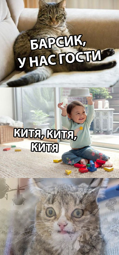 Прикольные картинки