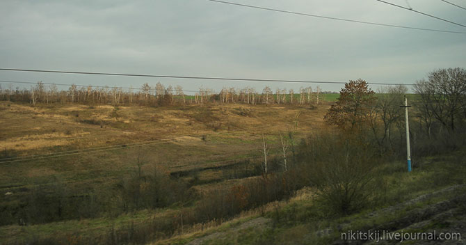 Дорога в Адлер Дорога в Адлер