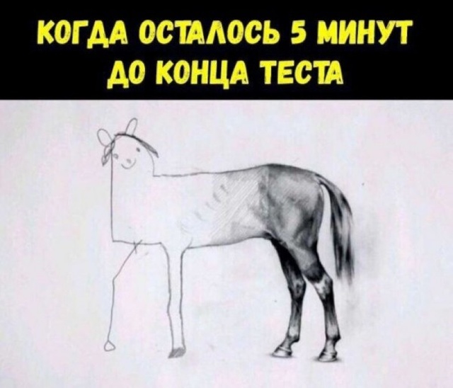 Нестандартный юмор с просторов сети