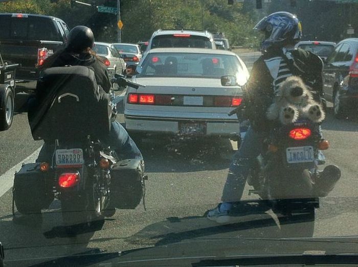 Прикольные картинки