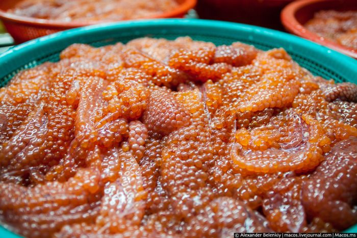 Родина красной икры Родина красной икры