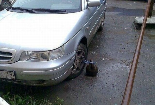 Прикольные картинки
