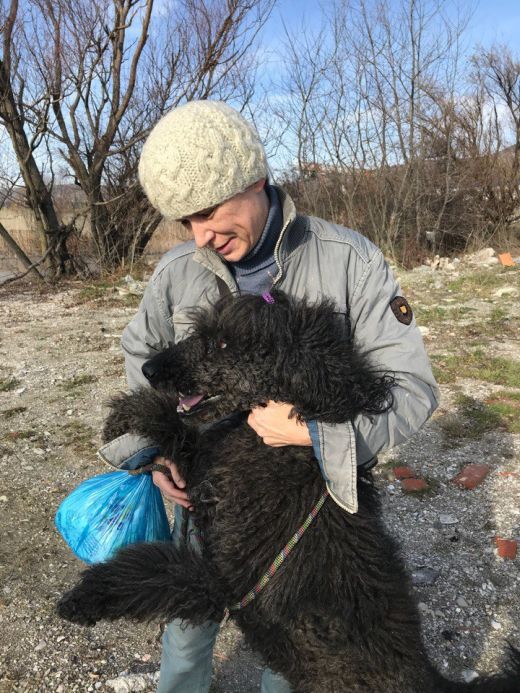 В Новороссийске пес два месяца ждал хозяйку из больницы