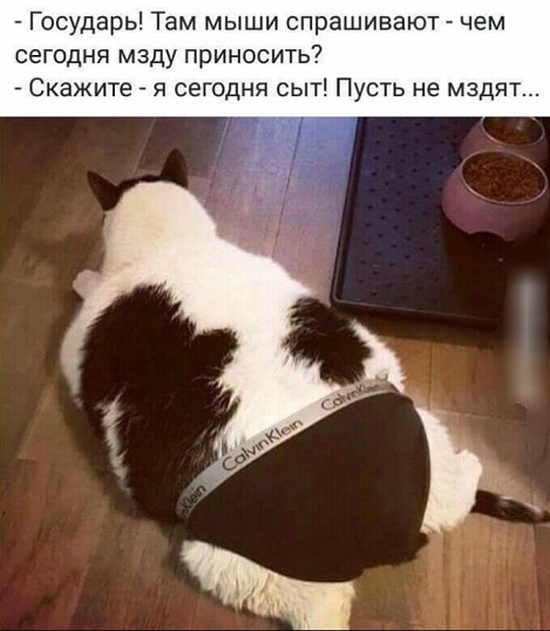 Забавные картинки и юмор из социальных сетей
