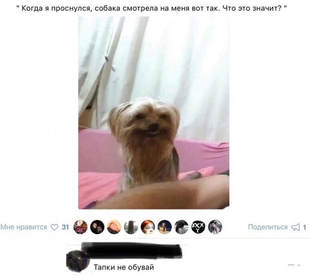 Забавные картинки и юмор из социальных сетей
