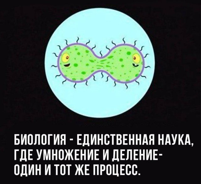 Подборка умного юмора, который заставляет задуматься