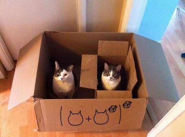 Подборка умного юмора, который заставляет задуматься