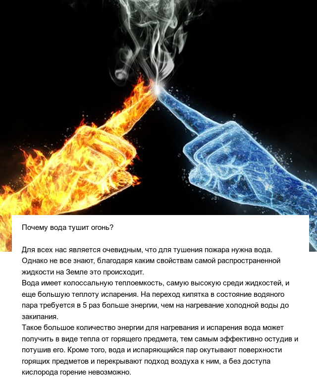 Познавательные ответы на разные вопросы