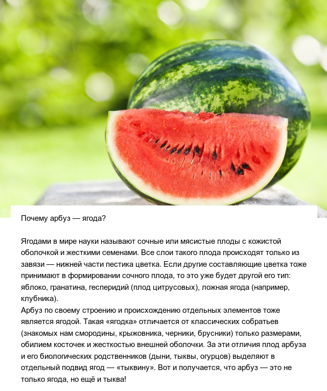 Познавательные ответы на разные вопросы