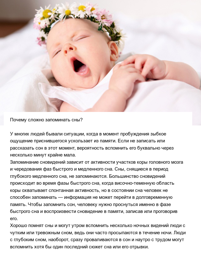 Познавательные ответы на разные вопросы