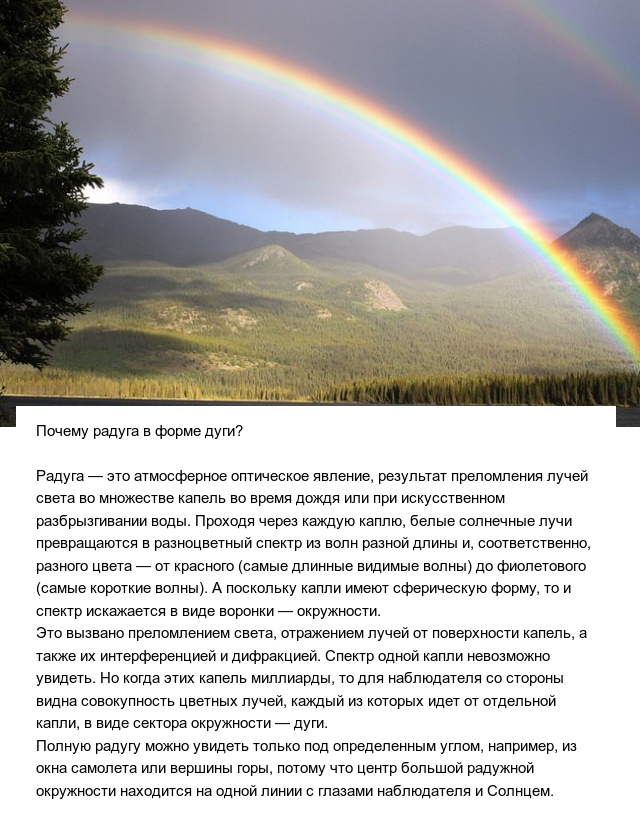 Познавательные ответы на разные вопросы