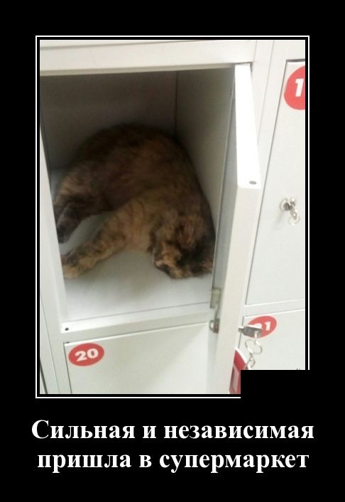 Демотиваторы