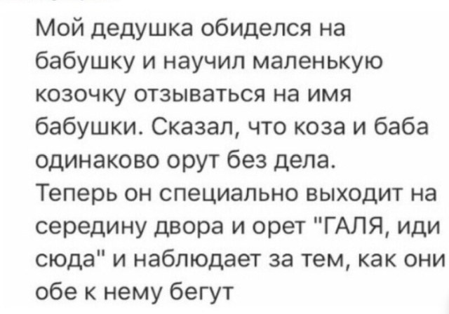 Забавные комментарии и высказывания с просторов сети