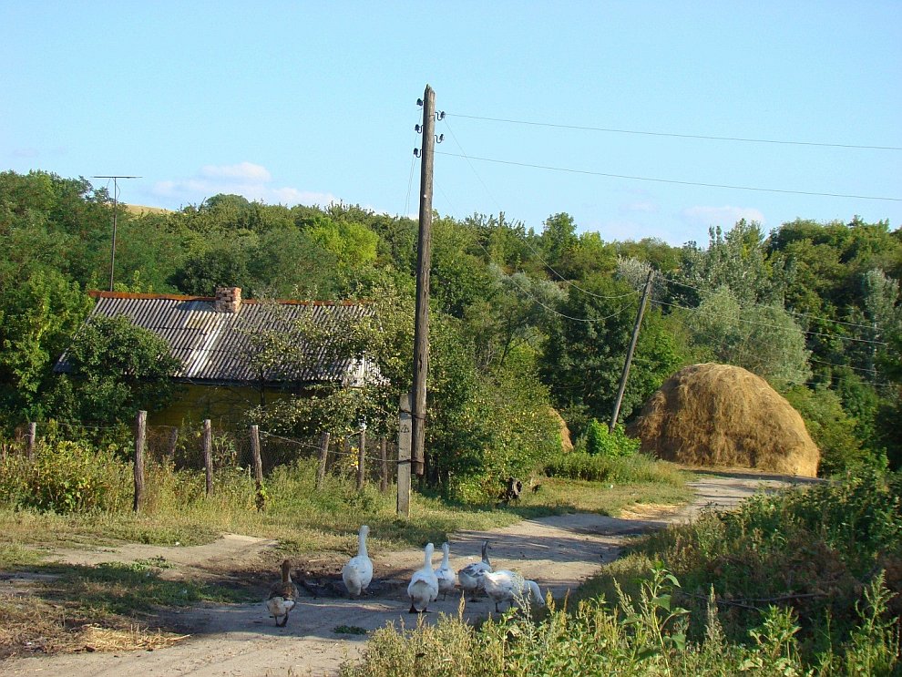Прогулка по глубинке Прогулка по глубинке