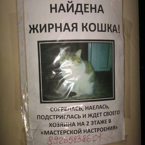 Знатные баяны. 2013 год