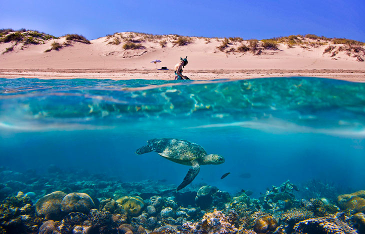 Конкурс Sony World Photography Awards 2013 Конкурс Sony World Photography Awards 2013
