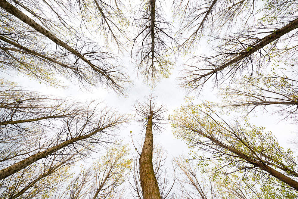 Конкурс Sony World Photography Awards 2013 Конкурс Sony World Photography Awards 2013