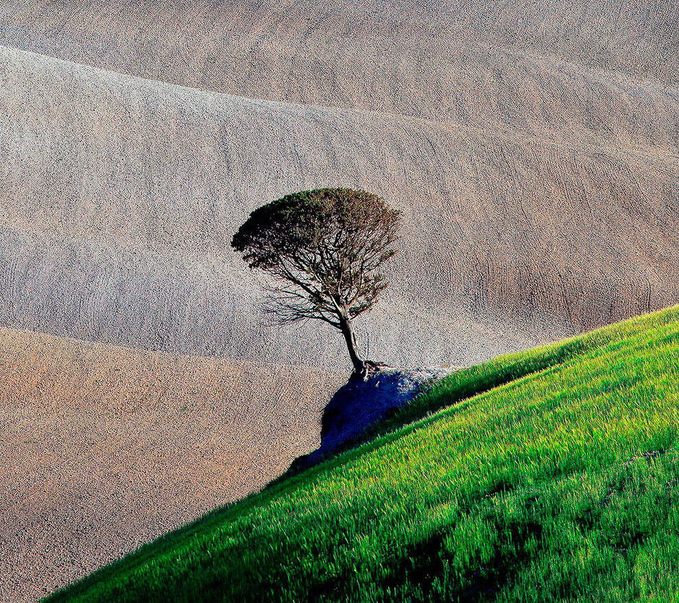 Конкурс Sony World Photography Awards 2013 Конкурс Sony World Photography Awards 2013