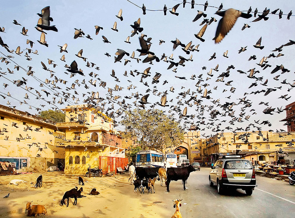 Конкурс Sony World Photography Awards 2013 Конкурс Sony World Photography Awards 2013