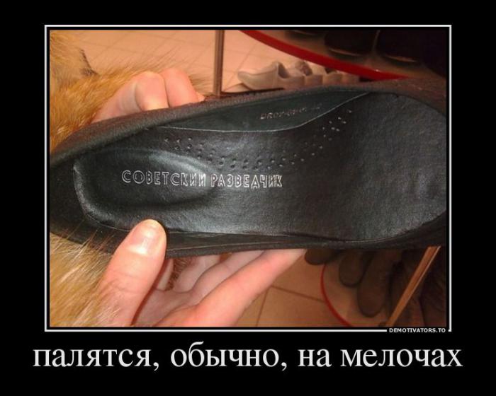 Демотиваторы